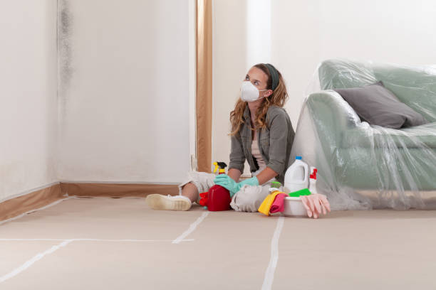 Reliable Mold Remediation contractor in Long Lake, MN by WQB Mold Removal